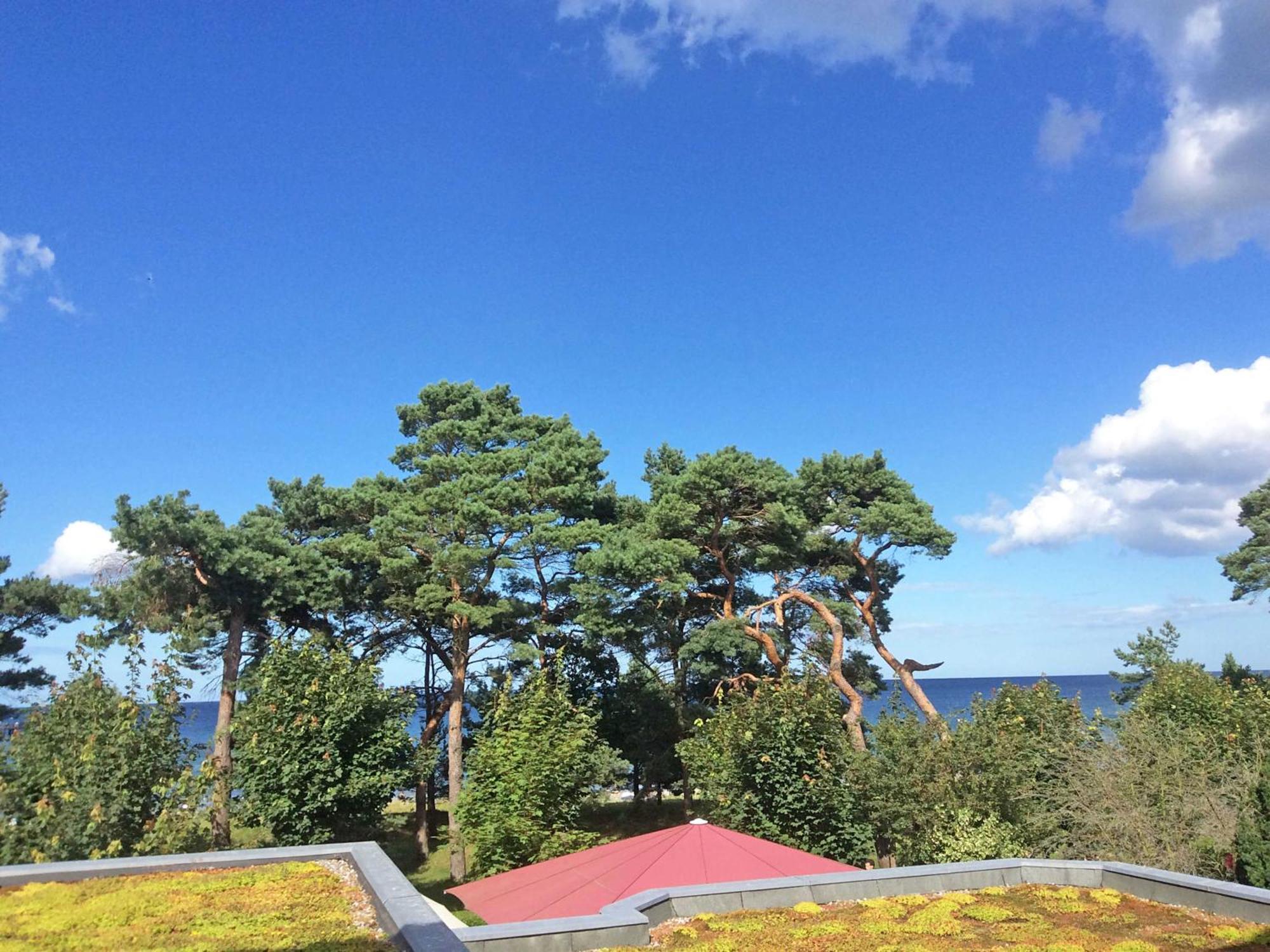 Villa Freia In Binz - Wg 11 Mit Meerblick Und Balkon Экстерьер фото